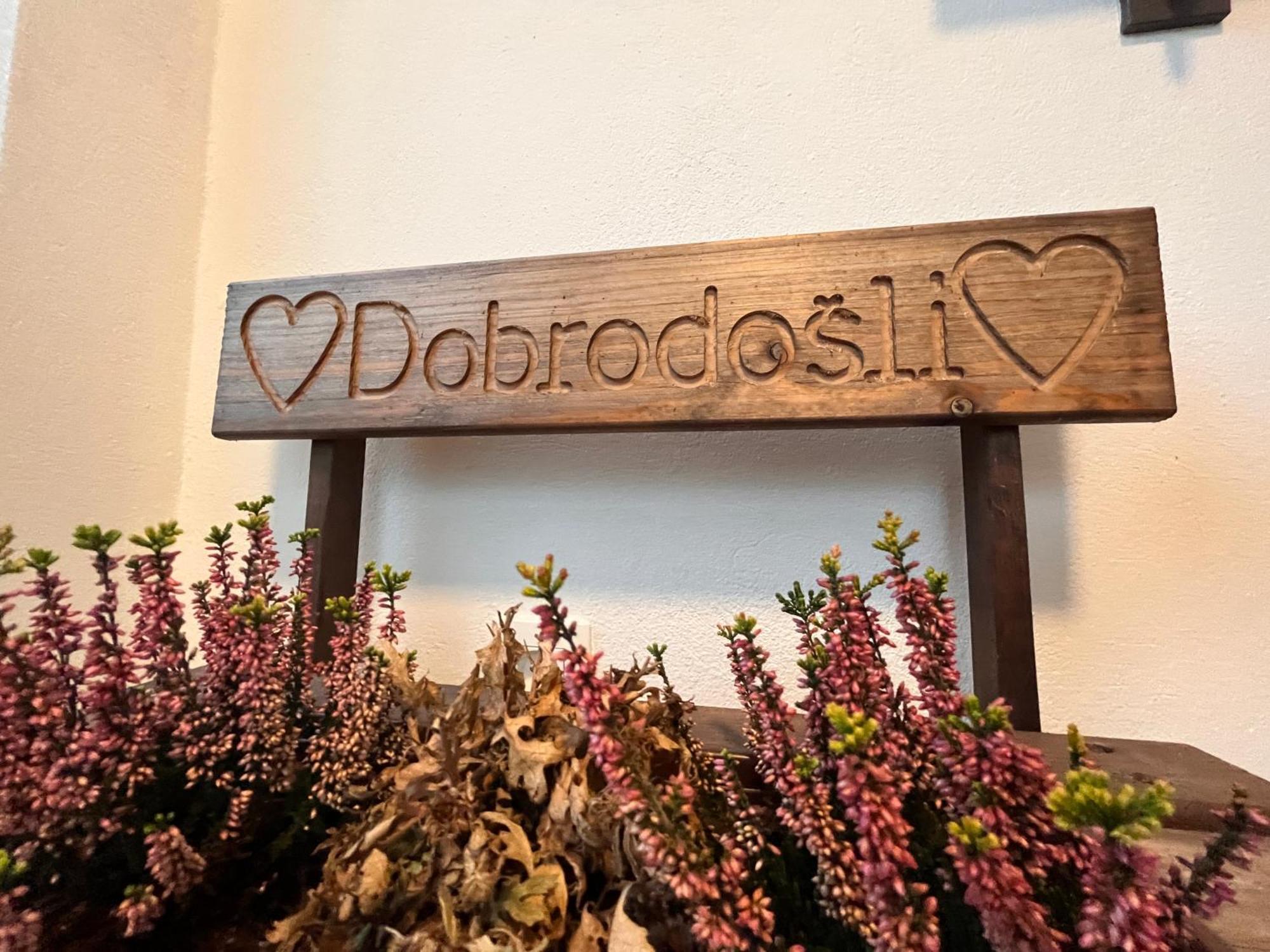 Villa Boris Starše エクステリア 写真