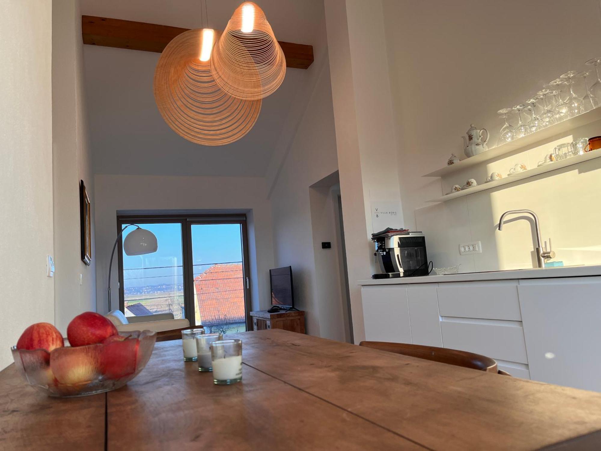 Villa Boris Starše 部屋 写真